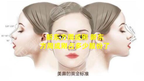 新东方周成刚 新东方周成刚占多少股份了